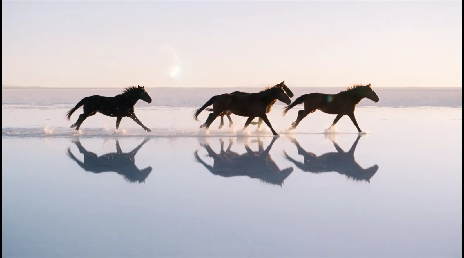 Wild horses crossing a vast reflective landscape